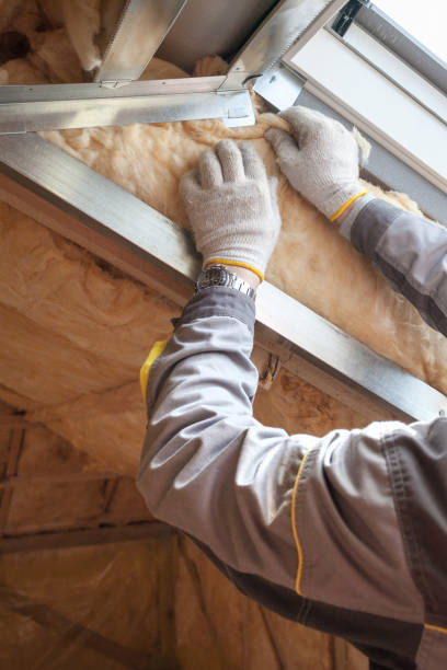 Professional Insulation Contractor in KS