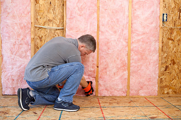 Best Insulation Maintenance and Repair in Andale, KS